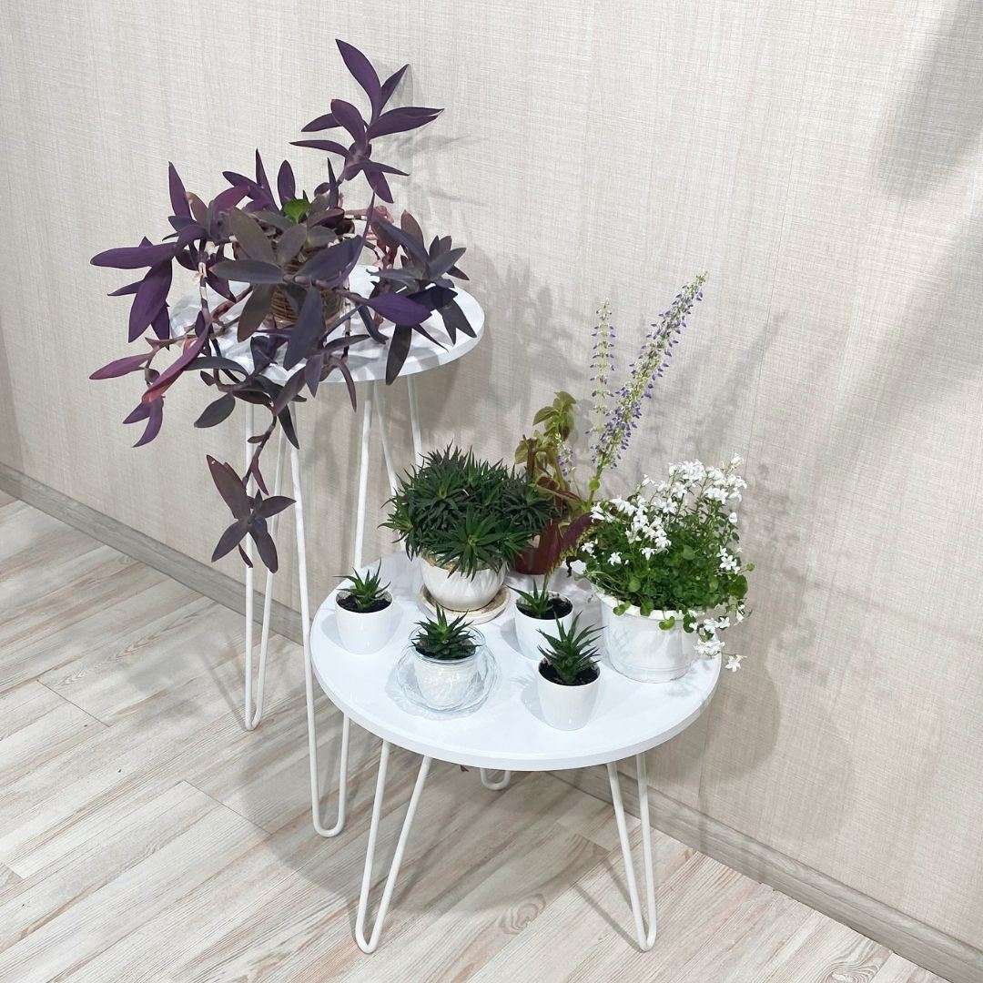 Фото журнальний столик DiPortes stol-spektr-szh-10 колір: , ціна, опис, разміри — інтернет-магазин меблів в Києві